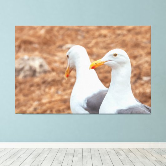 Westerne meeuwen canvas afdruk (Insitu (Houten vloer))