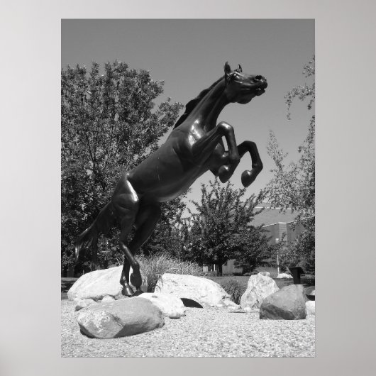 Westerne Michigan University, Kalamazoo, MI Poster (Voorkant)