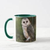 Westerne Mok voor het schillen van Barn Owl (Links)