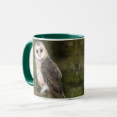 Westerne Mok voor het schillen van Barn Owl (Voorkant links)