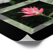 Westerne Montana Wildflower Print (Hoek)