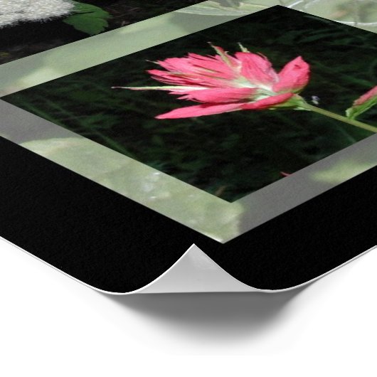 Westerne Montana Wildflower Print (Hoek)