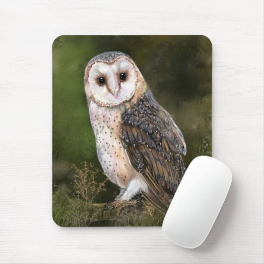 Westerne Muismat van Barn Owl (Met muis)