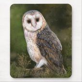 Westerne Muismat van Barn Owl (Voorkant)