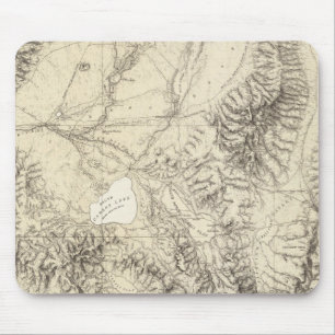 Westerne Nevada Muismat