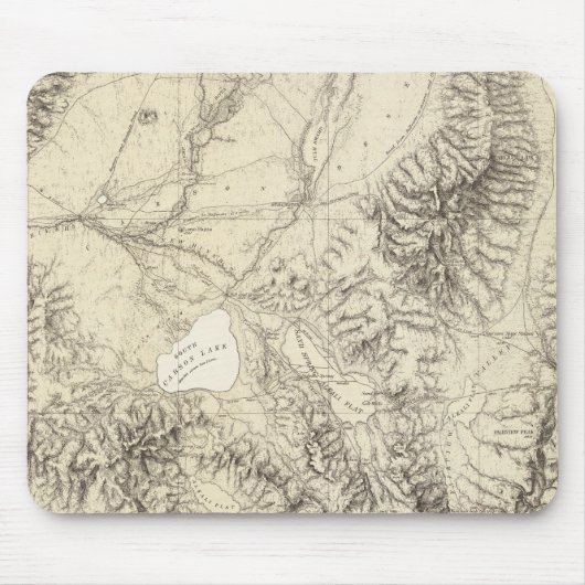 Westerne Nevada Muismat (Voorkant)