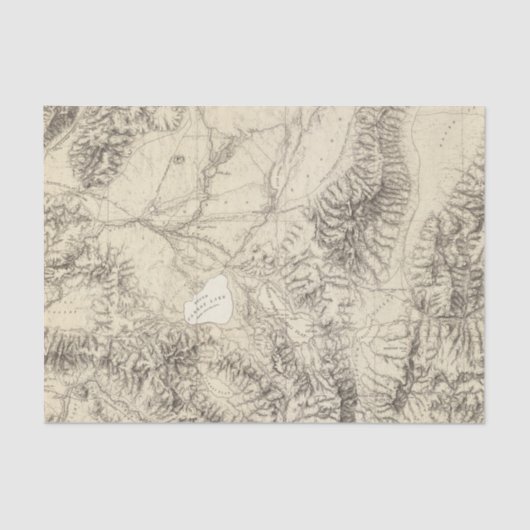 Westerne Nevada Tissuepapier (Voorkant)