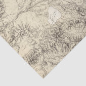 Westerne Nevada Tissuepapier (Detail)