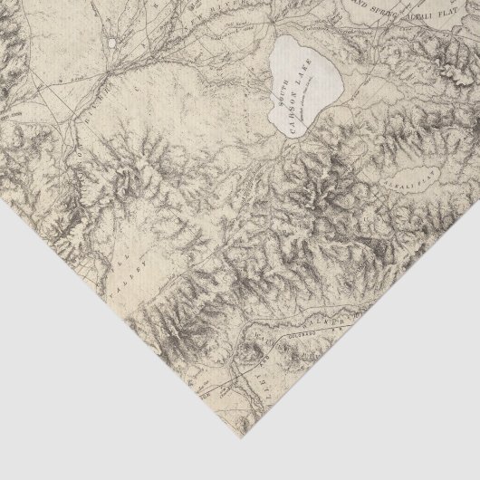 Westerne Nevada Tissuepapier (Detail)