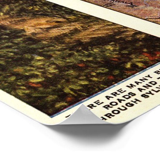 Westerne North CarolinaPanoramic Map Poster (Hoek)