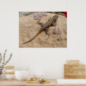 Westerne omheining poster (Keuken)