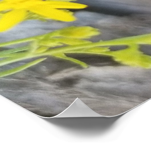 Westerne omheining poster (Hoek)