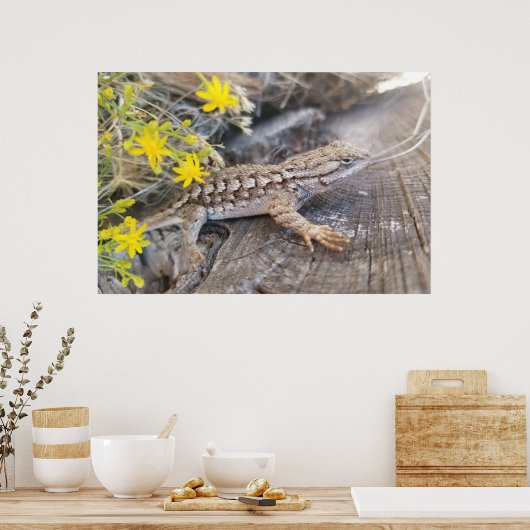 Westerne omheining poster (Keuken)