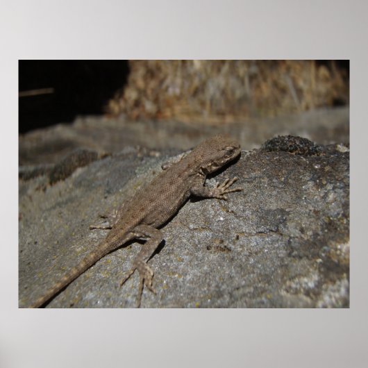 Westerne omheining poster (Voorkant)