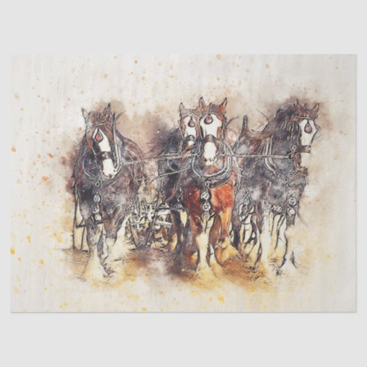 Westerne ontkoppeling van kunststofpapier voor wer tissuepapier (Voorkant)