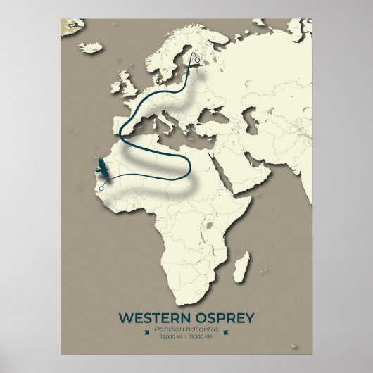 Westerne Osprey-migratiekaart – minimalistische Vi Poster (Voorkant)