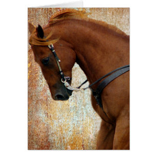 Westerne paarden Sorrel Grunge