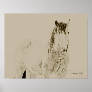 westerne paardenfoto, retro,  cadeau van 11x14 poster
