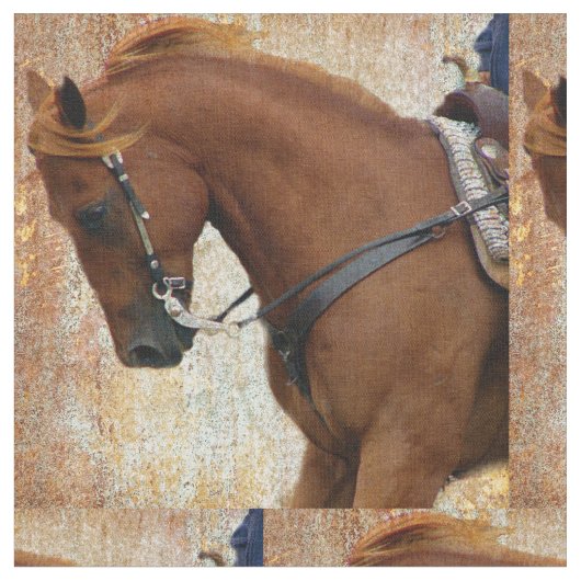 Westerne paardengrunge stof (Close Up)