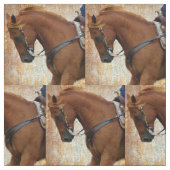 Westerne paardengrunge stof (Swatch)