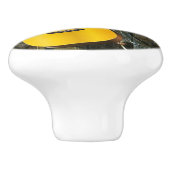 Westerne paarse cowboylaarzen gitaarzonnebloemen keramische knop (Zijkant)