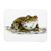 Westerne padmagneet magneet (Horizontaal)