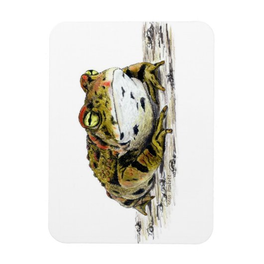 Westerne padmagneet magneet (Verticaal)