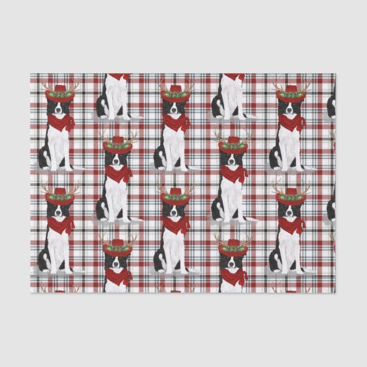 Westerne paling en kerstgrens Collie Lover Tissuepapier (Voorkant)
