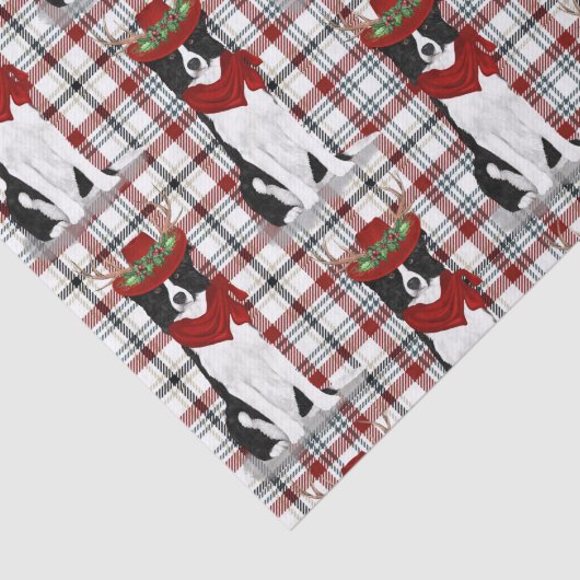 Westerne paling en kerstgrens Collie Lover Tissuepapier (Detail)