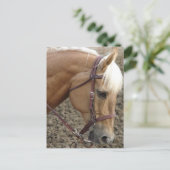 Westerne Palomino Briefkaart (Staand voorkant)