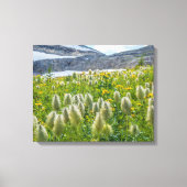 Westerne Pasqueflower | Oost-Kootenay-gebergten Canvas Afdruk (Voorkant)