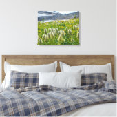 Westerne Pasqueflower | Oost-Kootenay-gebergten Canvas Afdruk (Insitu (Slaapkamer))