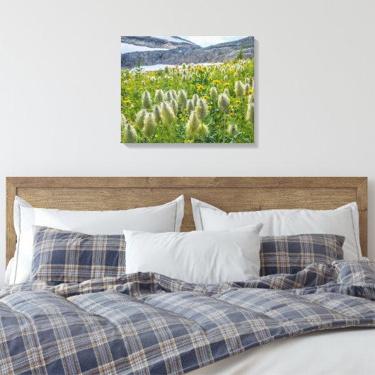 Westerne Pasqueflower | Oost-Kootenay-gebergten Canvas Afdruk (Insitu (Slaapkamer))
