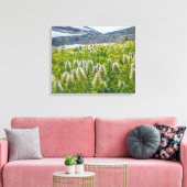 Westerne Pasqueflower | Oost-Kootenay-gebergten Canvas Afdruk (Insitu (Woonkamer))