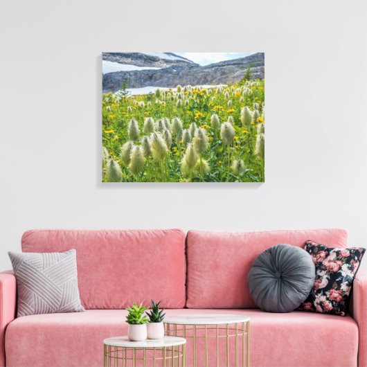 Westerne Pasqueflower | Oost-Kootenay-gebergten Canvas Afdruk (Insitu (Woonkamer))
