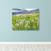 Westerne Pasqueflower | Oost-Kootenay-gebergten Canvas Afdruk (Insitu (Houten vloer))
