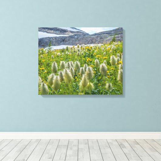 Westerne Pasqueflower | Oost-Kootenay-gebergten Canvas Afdruk (Insitu (Houten vloer))