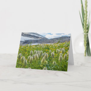 Westerne Pasqueflower Oost-Kootenay-gebergten Kaart