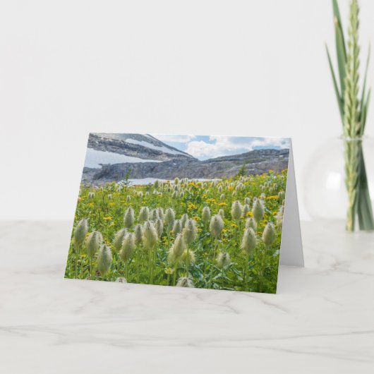Westerne Pasqueflower | Oost-Kootenay-gebergten Kaart (Voorkant)