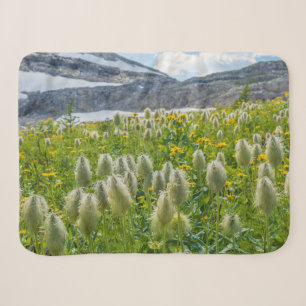 Westerne Pasqueflower   Oost-Kootenay-gebergten Sherpa Deken