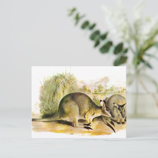 Westerne penseelbedekking briefkaart (Staand voorkant)