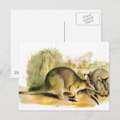 Westerne penseelbedekking briefkaart (Voorkant / Achterkant)