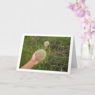 Westerne Planten Kaart