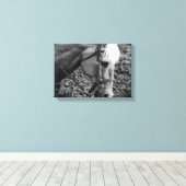 Westerne platte platte, zwarte en witte palomino-p canvas afdruk (Insitu (Houten vloer))