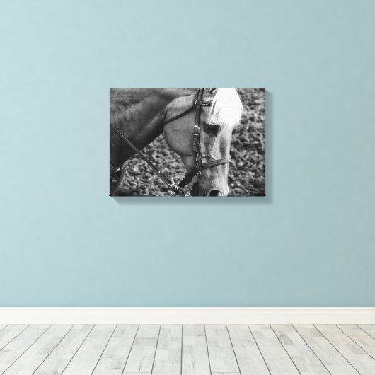 Westerne platte platte, zwarte en witte palomino-p canvas afdruk (Insitu (Houten vloer))