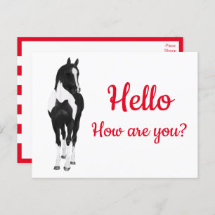Westerne Pony Waterverf Black White Horse Hallo P Briefkaart