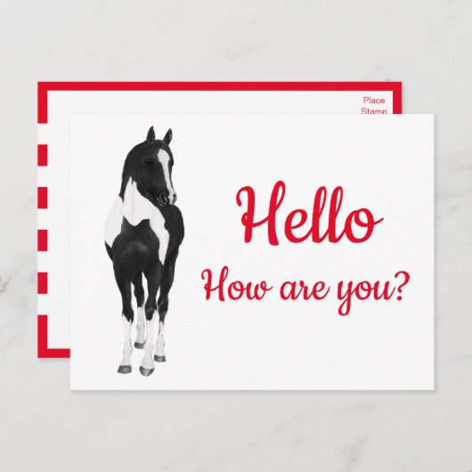 Westerne Pony Waterverf Black White Horse Hallo P Briefkaart (Voorkant / Achterkant)