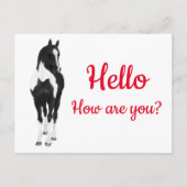 Westerne Pony Waterverf Black White Horse Hallo P Briefkaart (Voorkant)