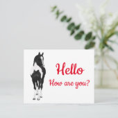 Westerne Pony Waterverf Black White Horse Hallo P Briefkaart (Staand voorkant)