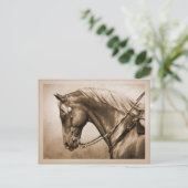 Westerne Ranch Horse Old Photo Sepia Briefkaart (Staand voorkant)